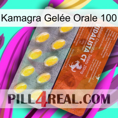 Kamagra Gelée Orale 100 42